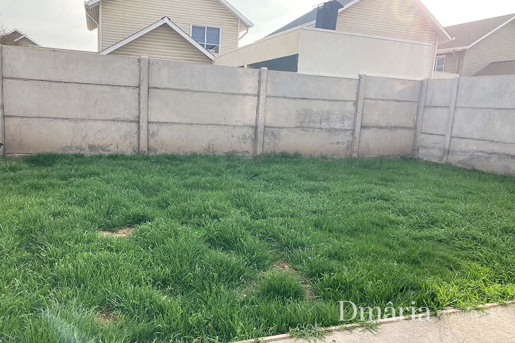 13 (1)_6912af34e08d7.jpg